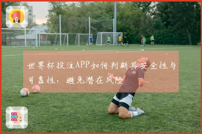 世界杯投注APP如何判断其安全性与可靠性，避免潜在风险
