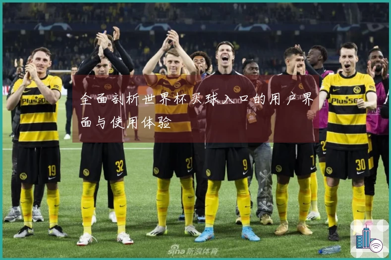 全面剖析世界杯买球入口的用户界面与使用体验