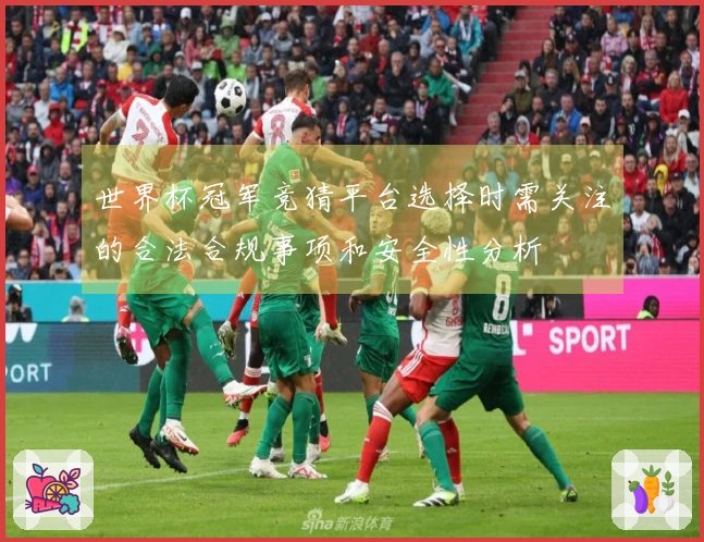 世界杯冠军竞猜平台选择时需关注的合法合规事项和安全性分析