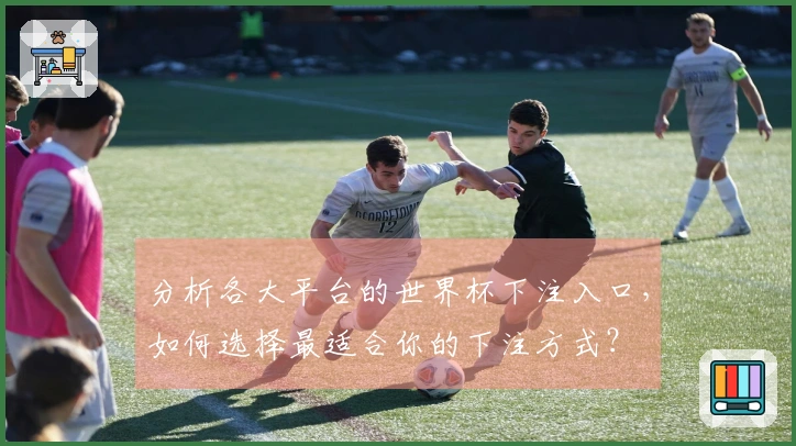 分析各大平台的世界杯下注入口，如何选择最适合你的下注方式？