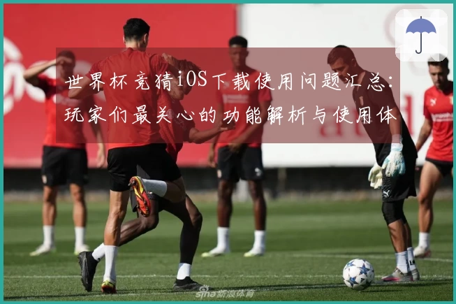 世界杯竞猜iOS下载使用问题汇总：玩家们最关心的功能解析与使用体验分享