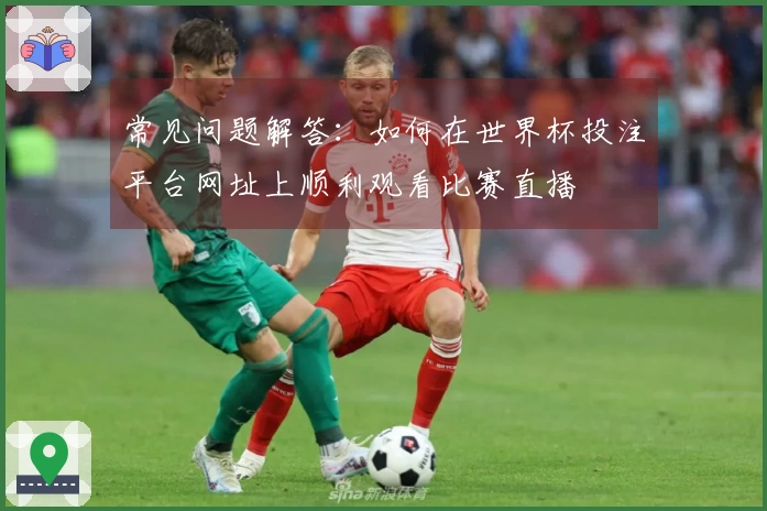 常见问题解答：如何在世界杯投注平台网址上顺利观看比赛直播