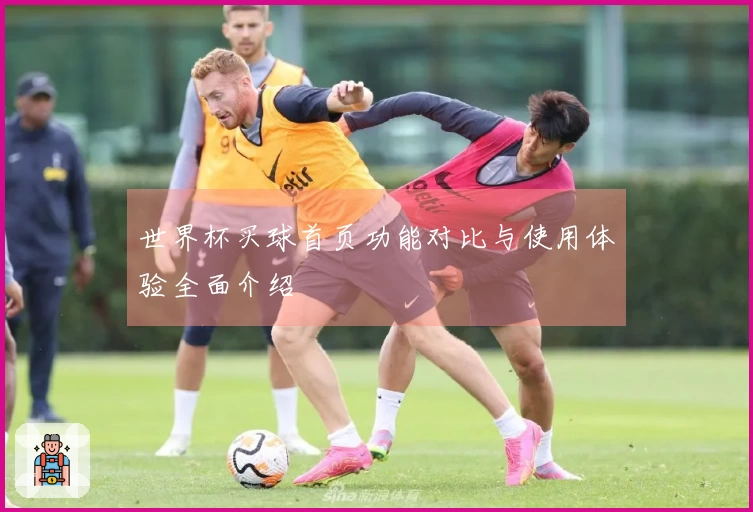 世界杯买球首页功能对比与使用体验全面介绍
