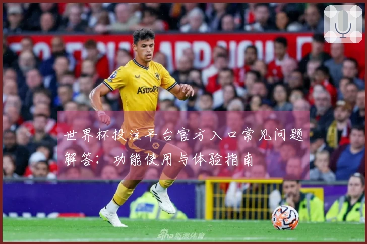 世界杯投注平台官方入口常见问题解答：功能使用与体验指南