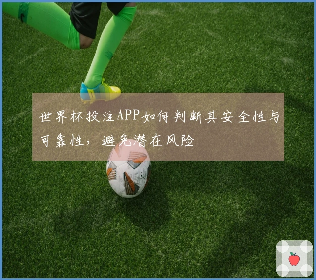 世界杯投注APP如何判断其安全性与可靠性，避免潜在风险