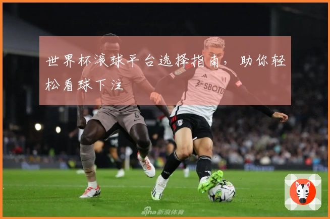 世界杯滚球平台选择指南，助你轻松看球下注