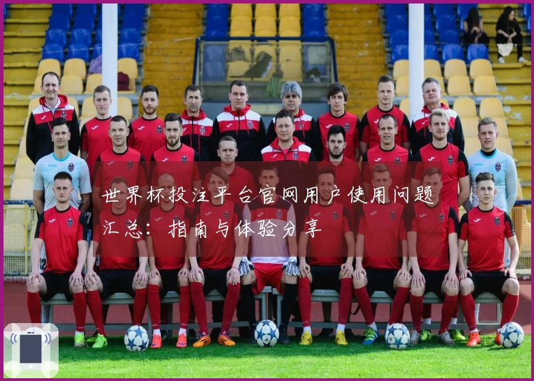 世界杯投注平台官网用户使用问题汇总：指南与体验分享