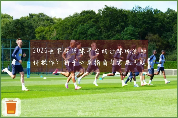 2026世界杯买球平台的让球玩法如何操作？新手必看指南与常见问题解答