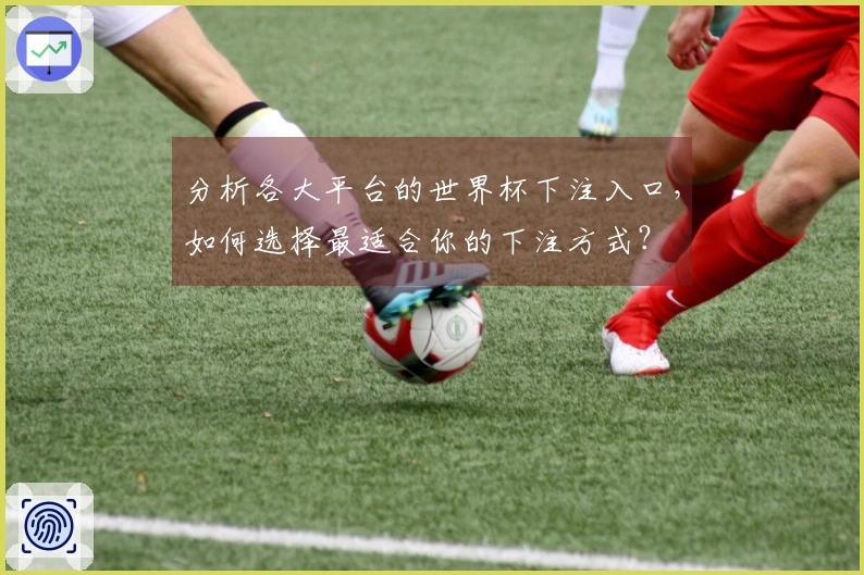 分析各大平台的世界杯下注入口，如何选择最适合你的下注方式？