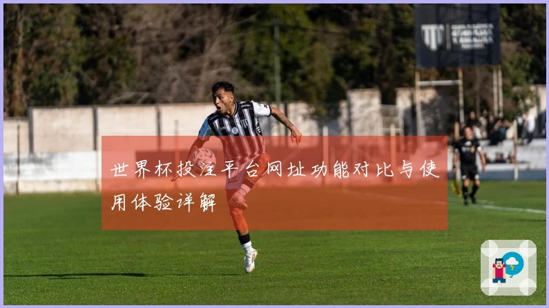 世界杯投注平台网址功能对比与使用体验详解