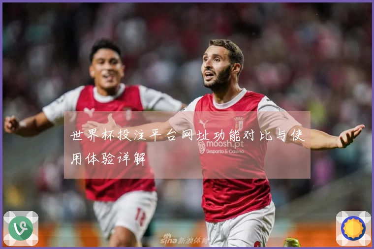 世界杯投注平台网址功能对比与使用体验详解
