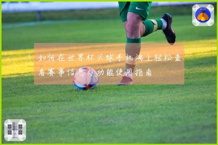 如何在世界杯买球手机端上轻松查看赛事信息与功能使用指南