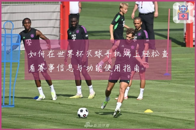 如何在世界杯买球手机端上轻松查看赛事信息与功能使用指南