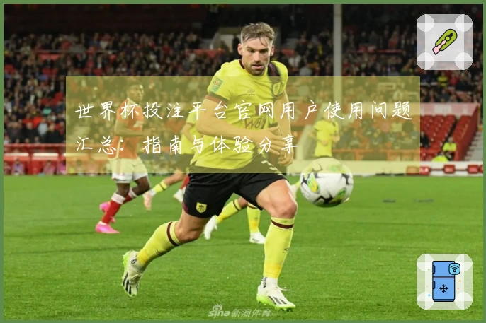 世界杯投注平台官网用户使用问题汇总：指南与体验分享