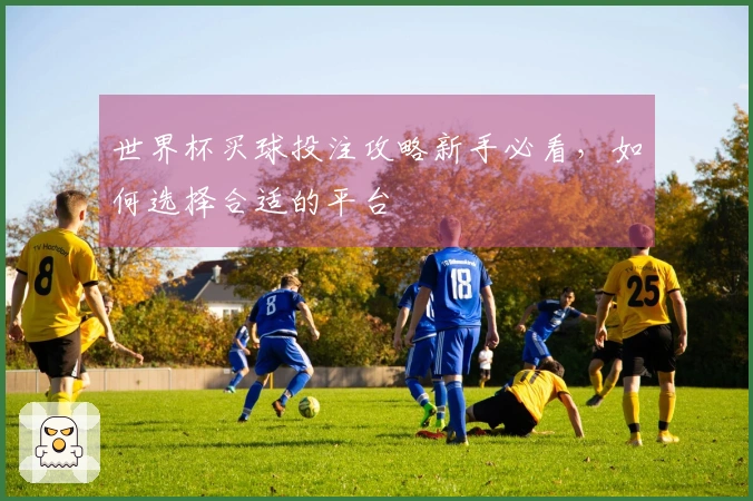 世界杯买球投注攻略新手必看，如何选择合适的平台