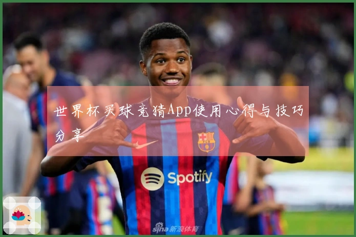 世界杯买球竞猜App使用心得与技巧分享