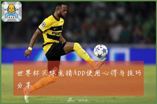 世界杯买球竞猜App使用心得与技巧分享